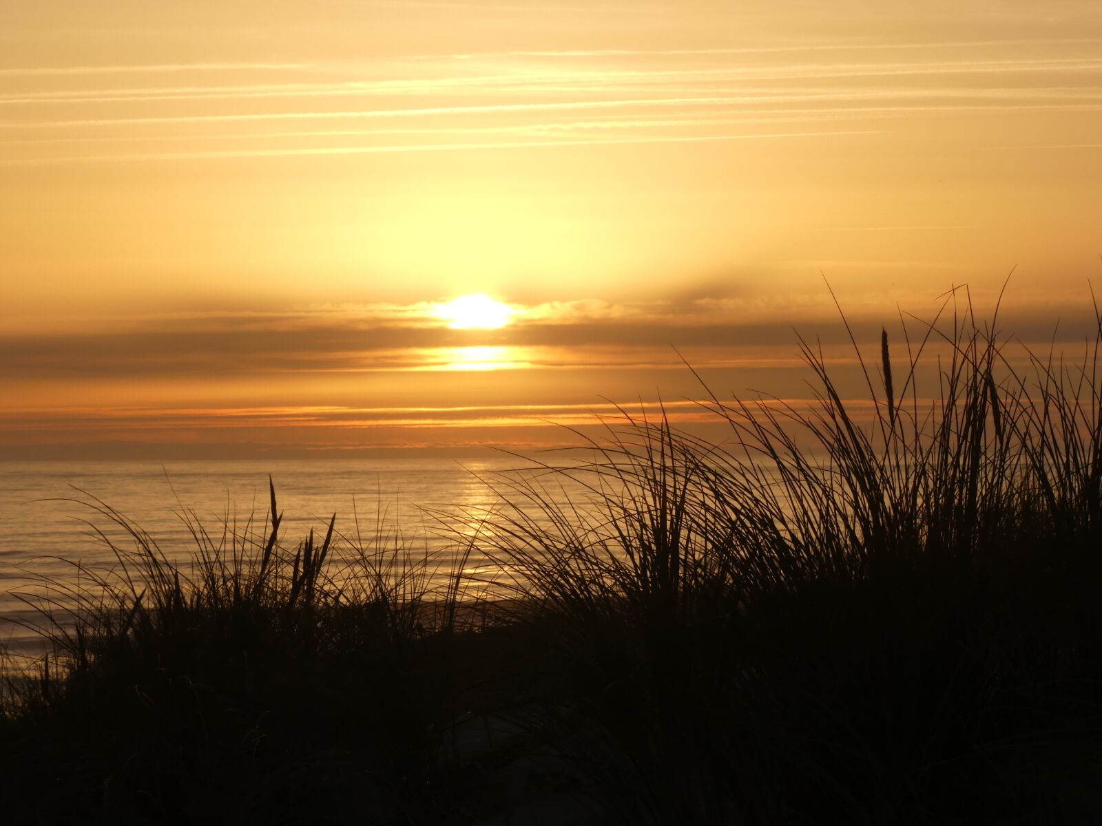 Panasonic Lumix DMC-FZ300 sample photo. Sunset, dawn, sun photography