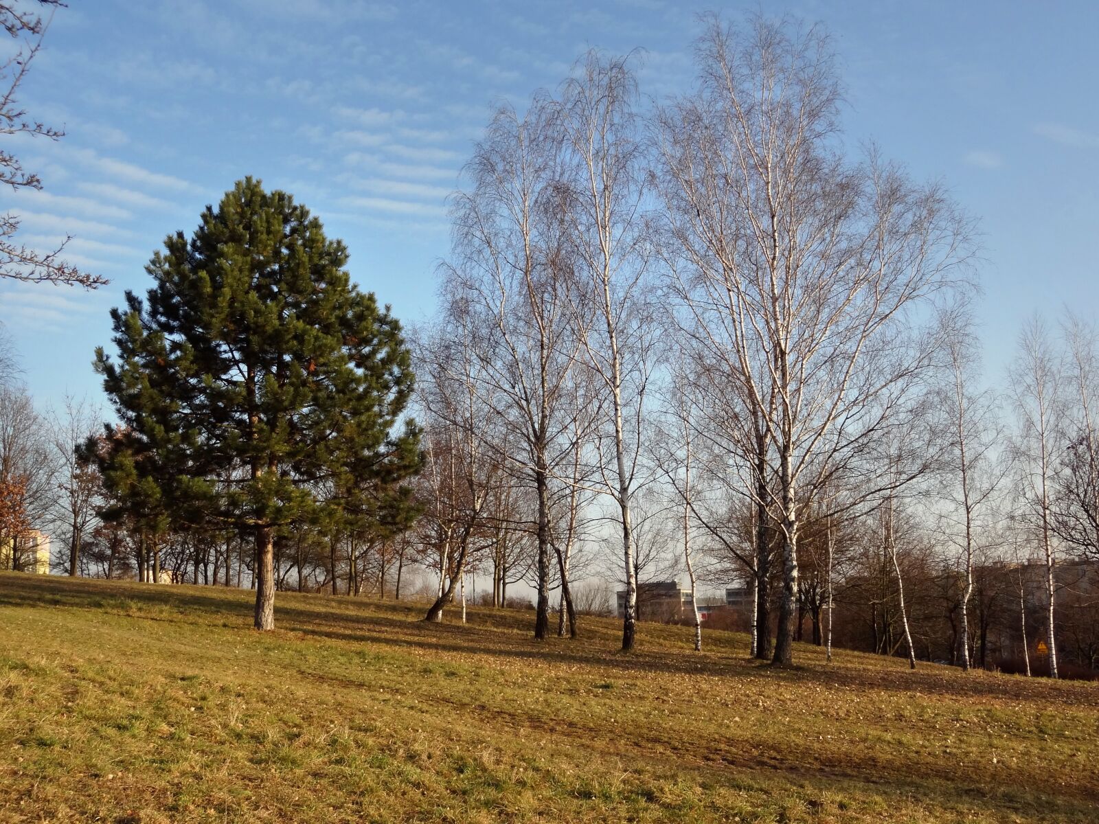 Sony Cyber-shot DSC-HX9V sample photo. Author, skibka, photo photography