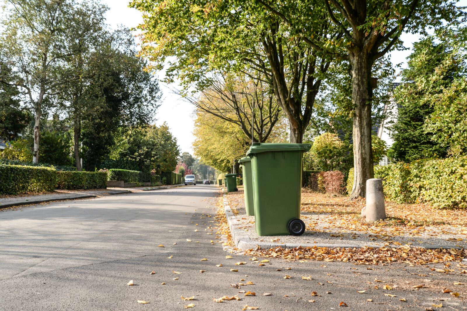 Nikon D610 sample photo. Trash, container, street photography