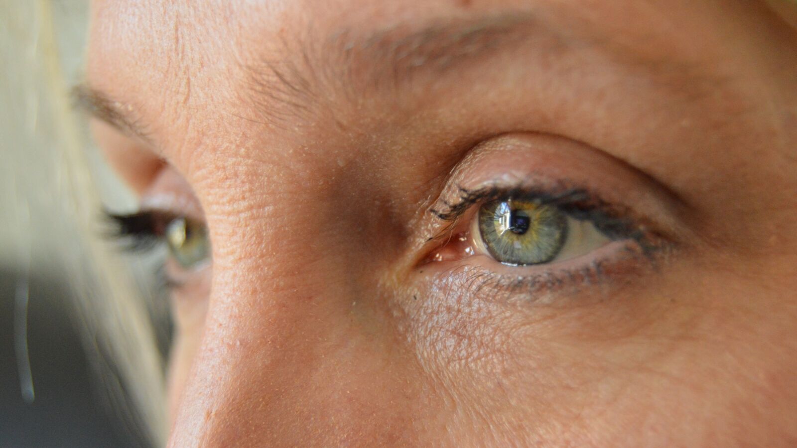 Nikon D3200 sample photo. Grey eyes, face, girl photography