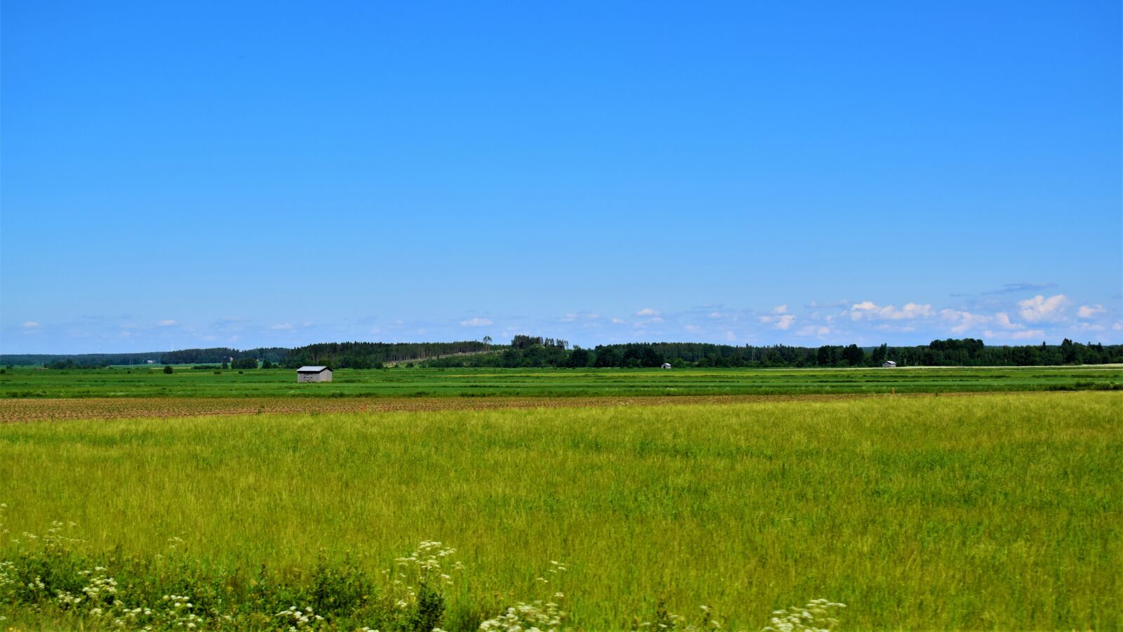Nikon D3300 sample photo. Countryside, nature, summer photography