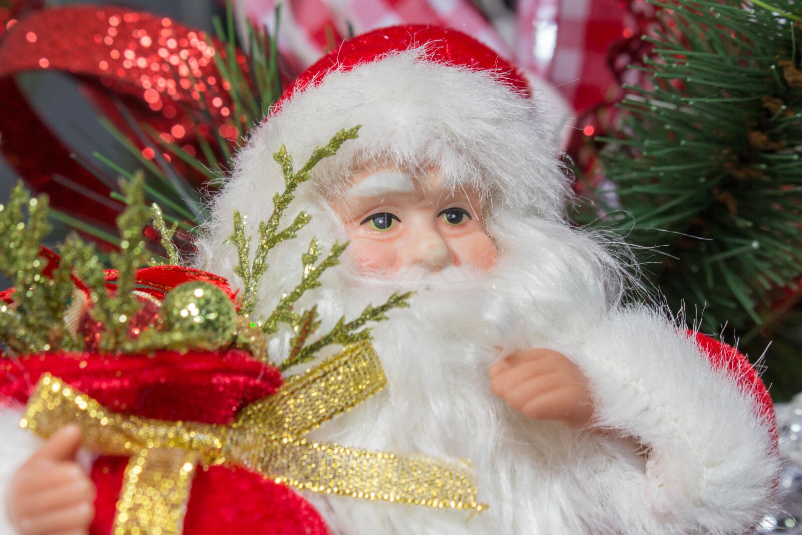 Canon EOS 700D (EOS Rebel T5i / EOS Kiss X7i) sample photo. Santa, christmas, winter photography