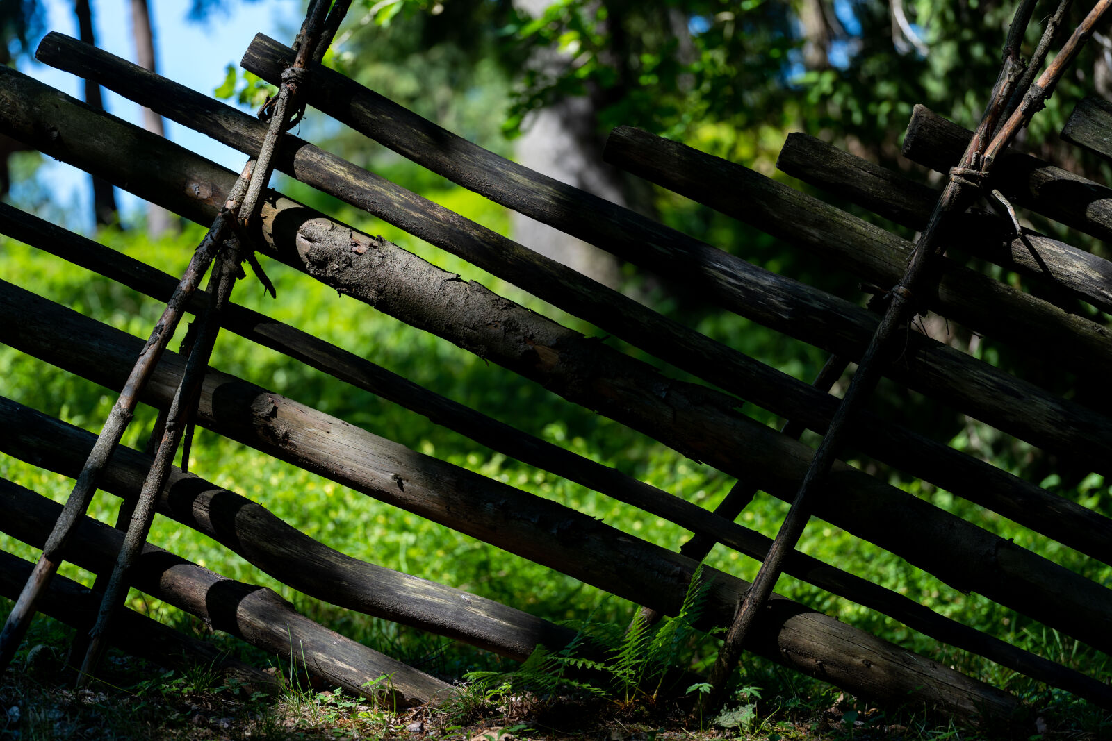 Sony a7R IV sample photo. Old fence photography