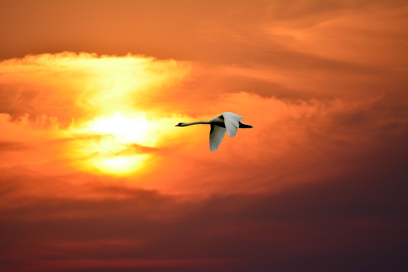 Nikon D5200 sample photo. Sunset, sky, evening photography