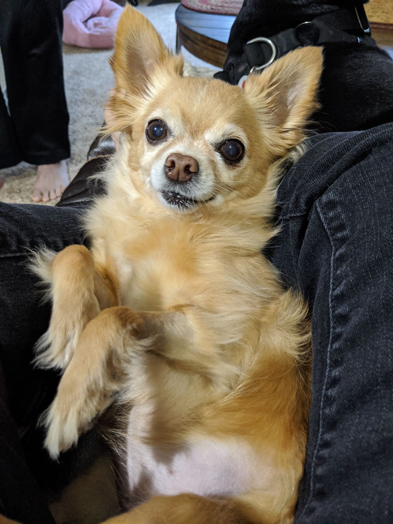 Google Pixel 3 sample photo. Cute, little, tess photography
