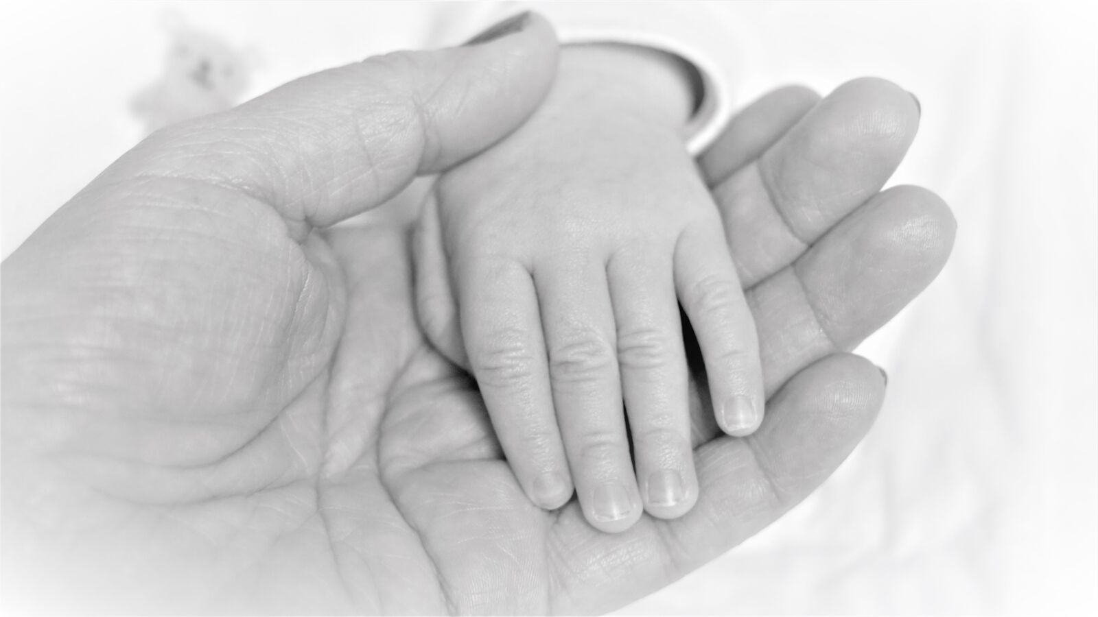 Sony FE 50mm F1.8 sample photo. Hands, infant, baby photography
