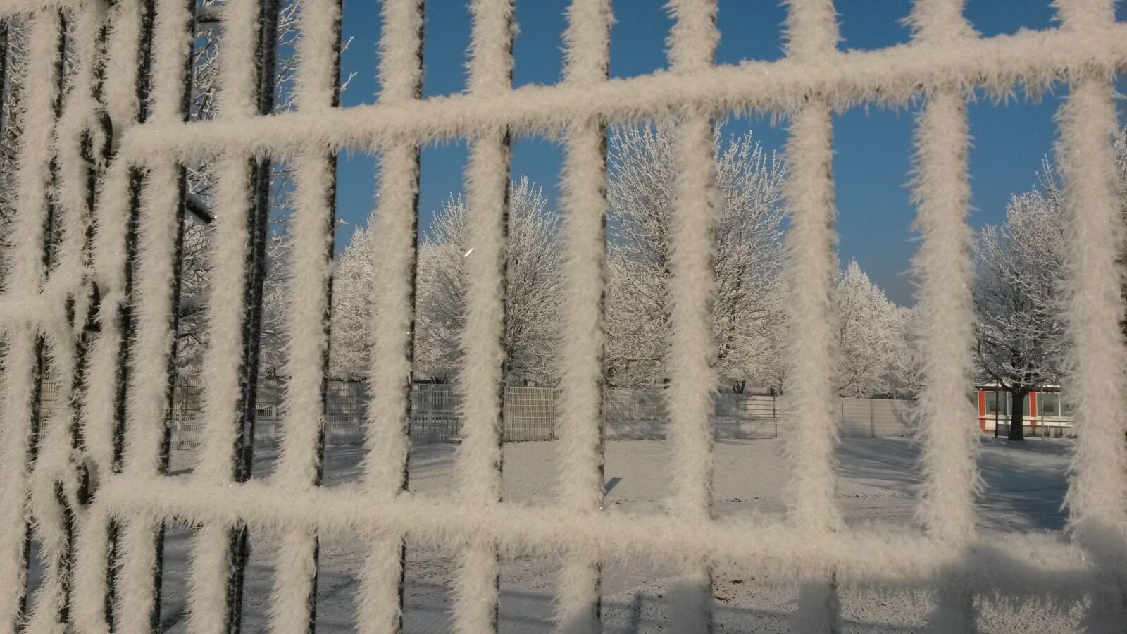 Samsung Galaxy S4 Mini sample photo. Fence, frost, ice photography