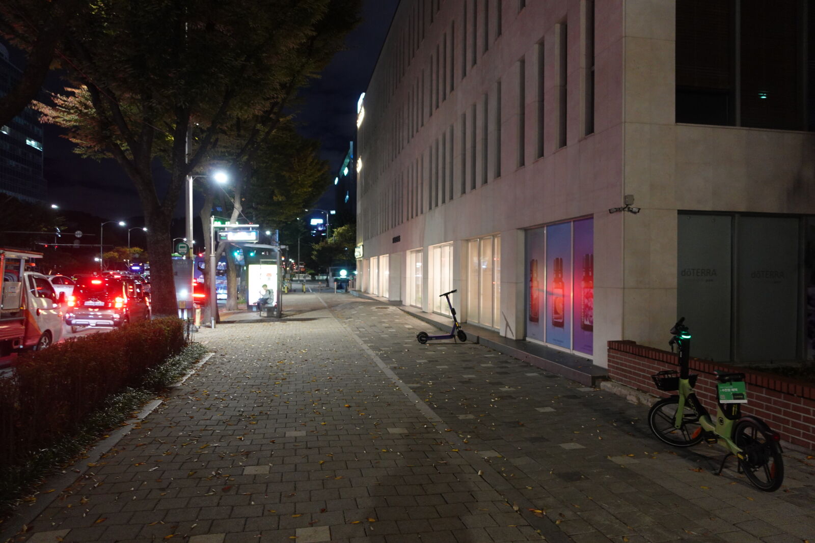 Sony ZV-1 sample photo