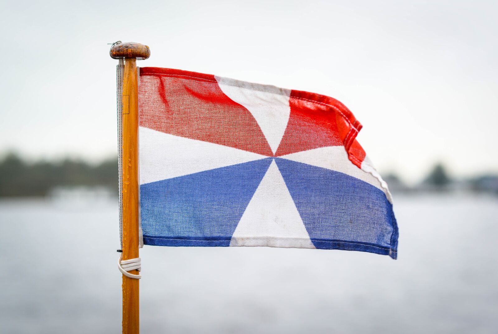 Nikon D610 sample photo. Flag, naval, dutch photography