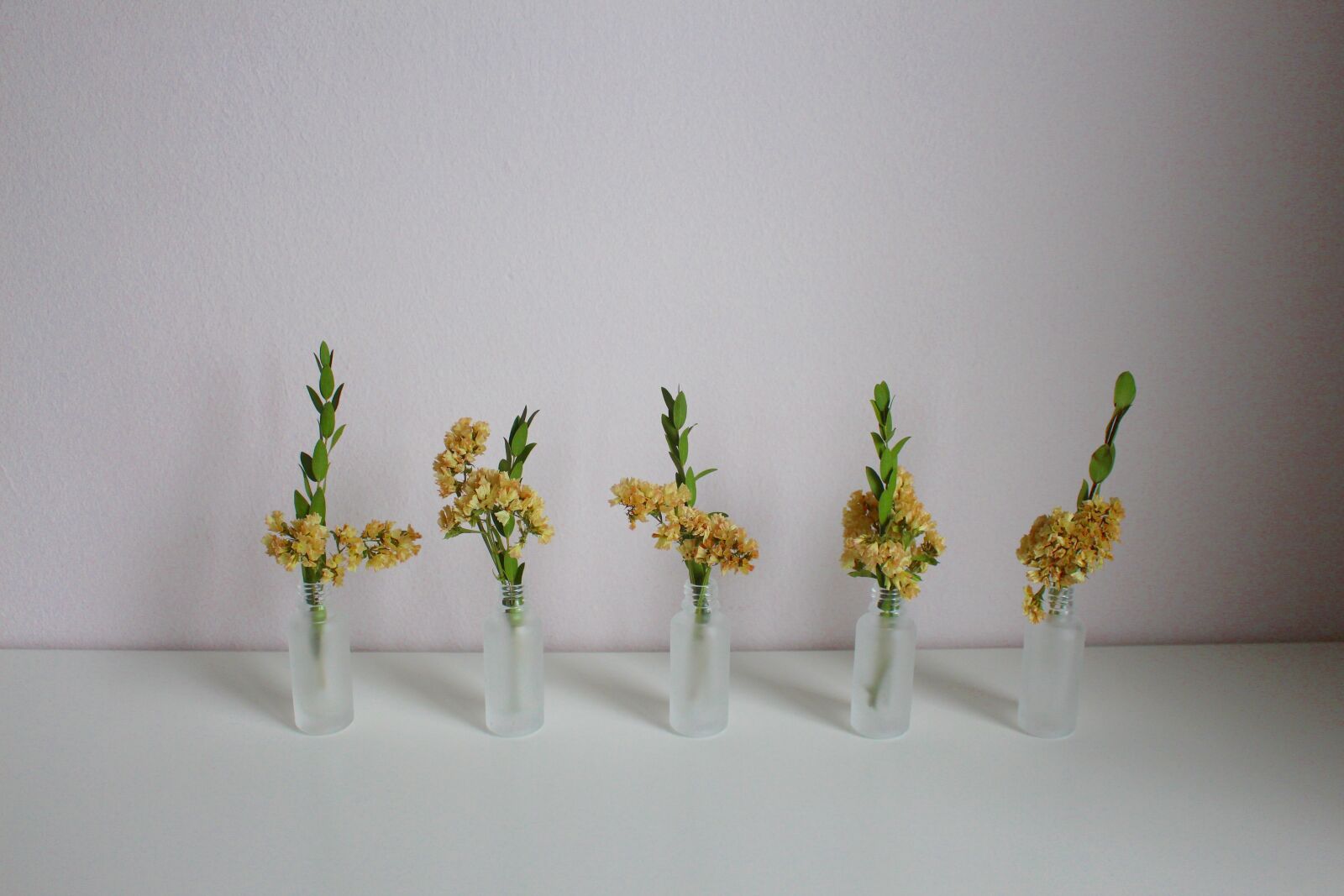 Canon EOS 700D (EOS Rebel T5i / EOS Kiss X7i) sample photo. Flowers, vase, deco photography