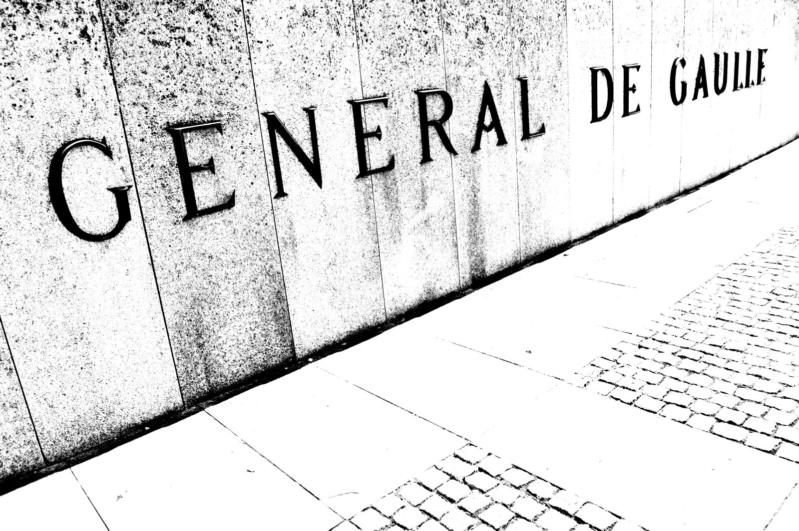 Nikon D3200 sample photo. Gaulle, monument, concrete photography