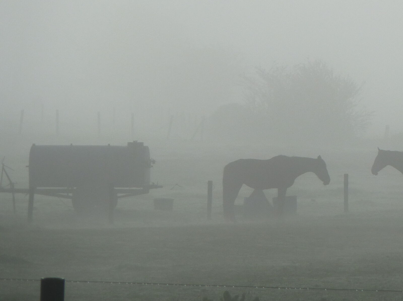 Panasonic Lumix DMC-ZS7 (Lumix DMC-TZ10) sample photo. Fog photography