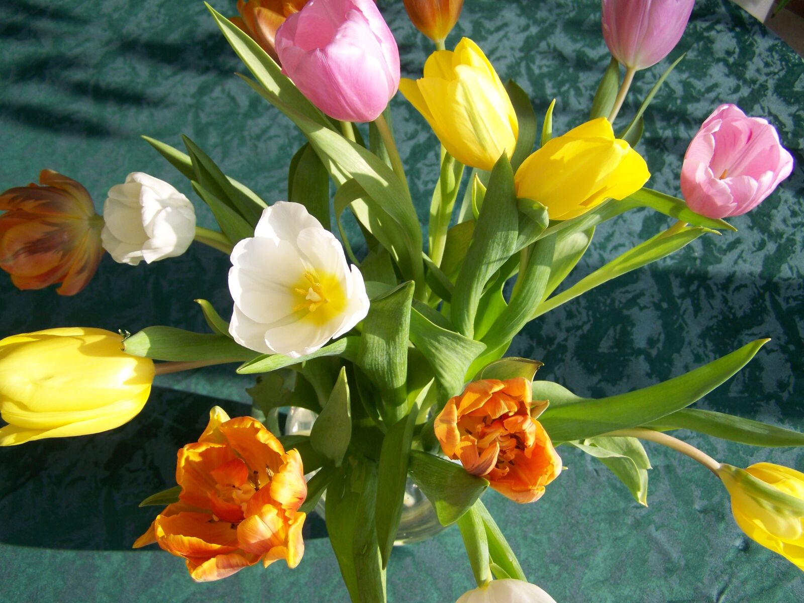 Kodak EASYSHARE ZD710 ZOOM DIGITAL CAMERA sample photo. Tulip bouquet, colorful tulips photography