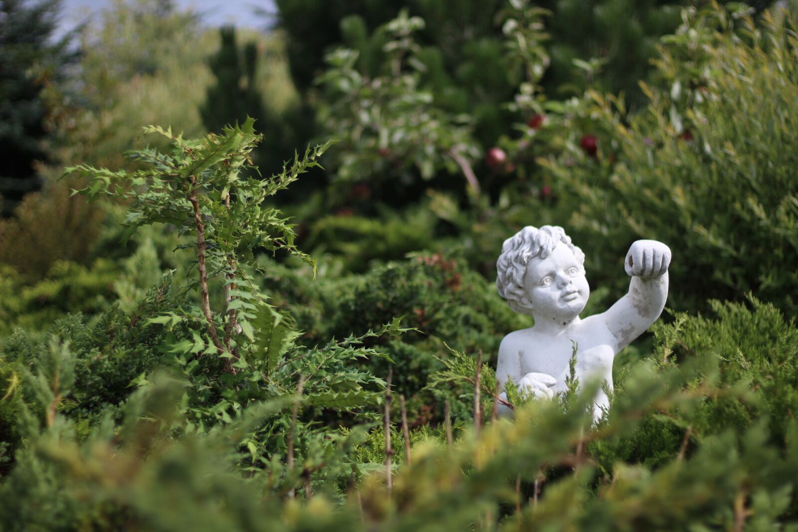 Canon EOS 1200D (EOS Rebel T5 / EOS Kiss X70 / EOS Hi) + Canon EF 50mm F1.8 STM sample photo. Superman, statue, success photography