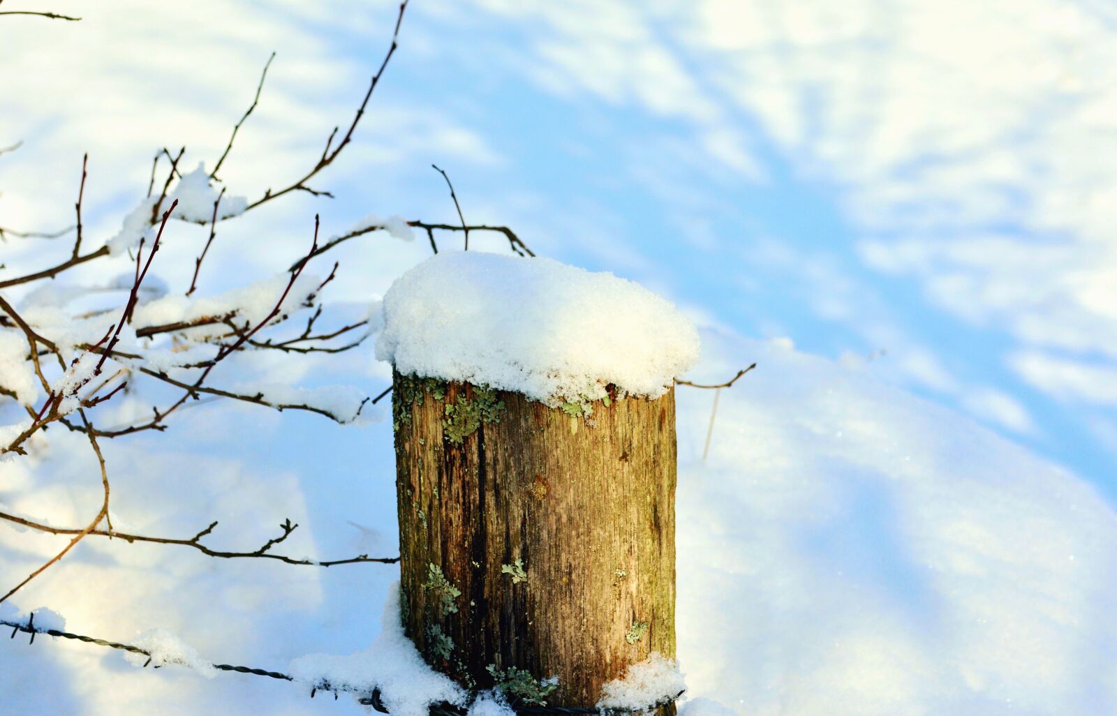 Nikon D5200 sample photo. Fence, snow, winter, cold photography