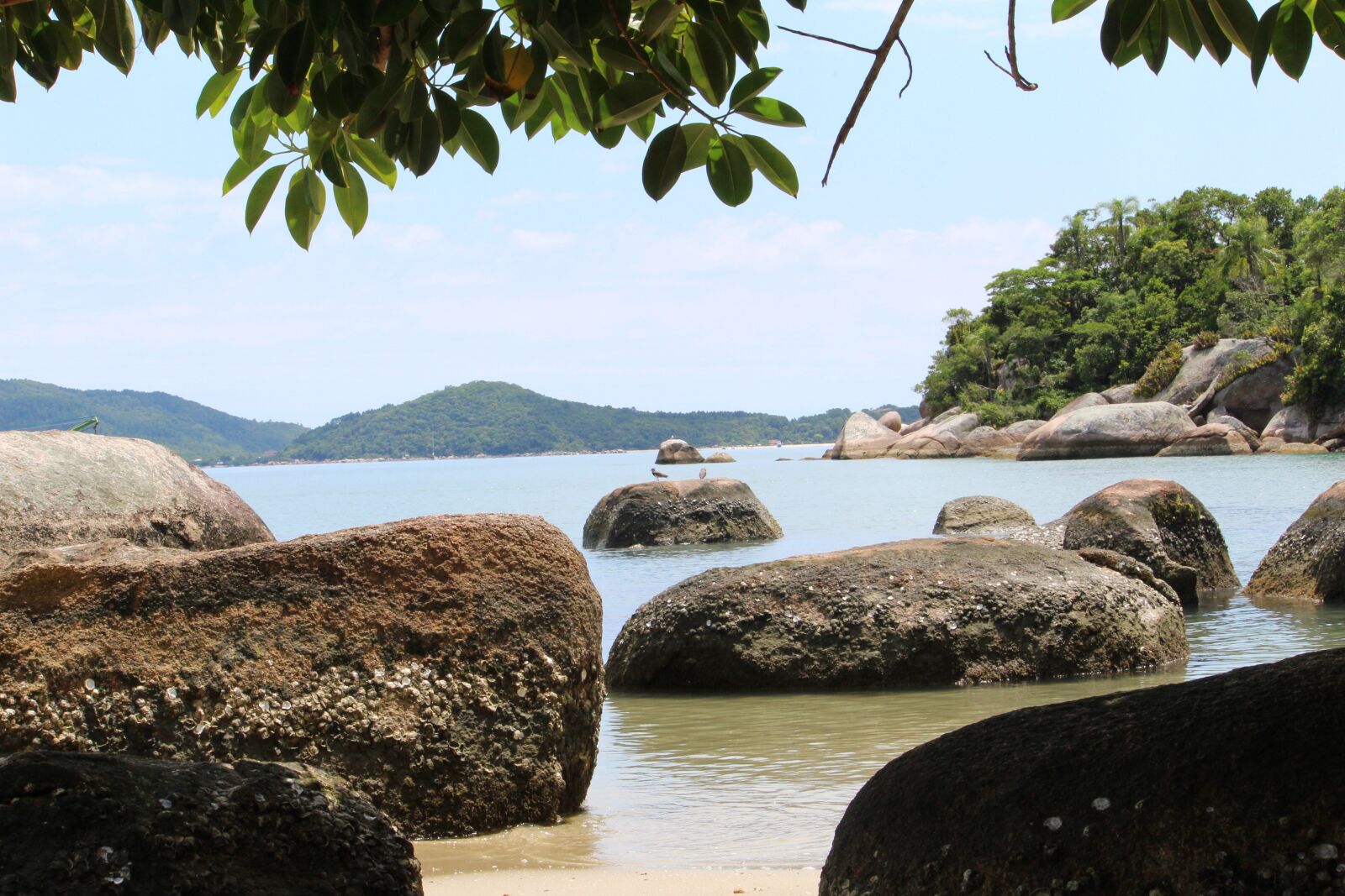Canon EOS 1300D (EOS Rebel T6 / EOS Kiss X80) sample photo. Mar, nature, beach photography