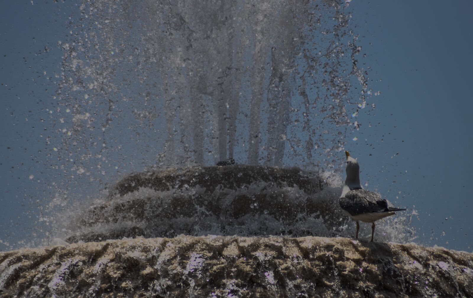 Nikon D90 sample photo. Roma, italia, fuente photography