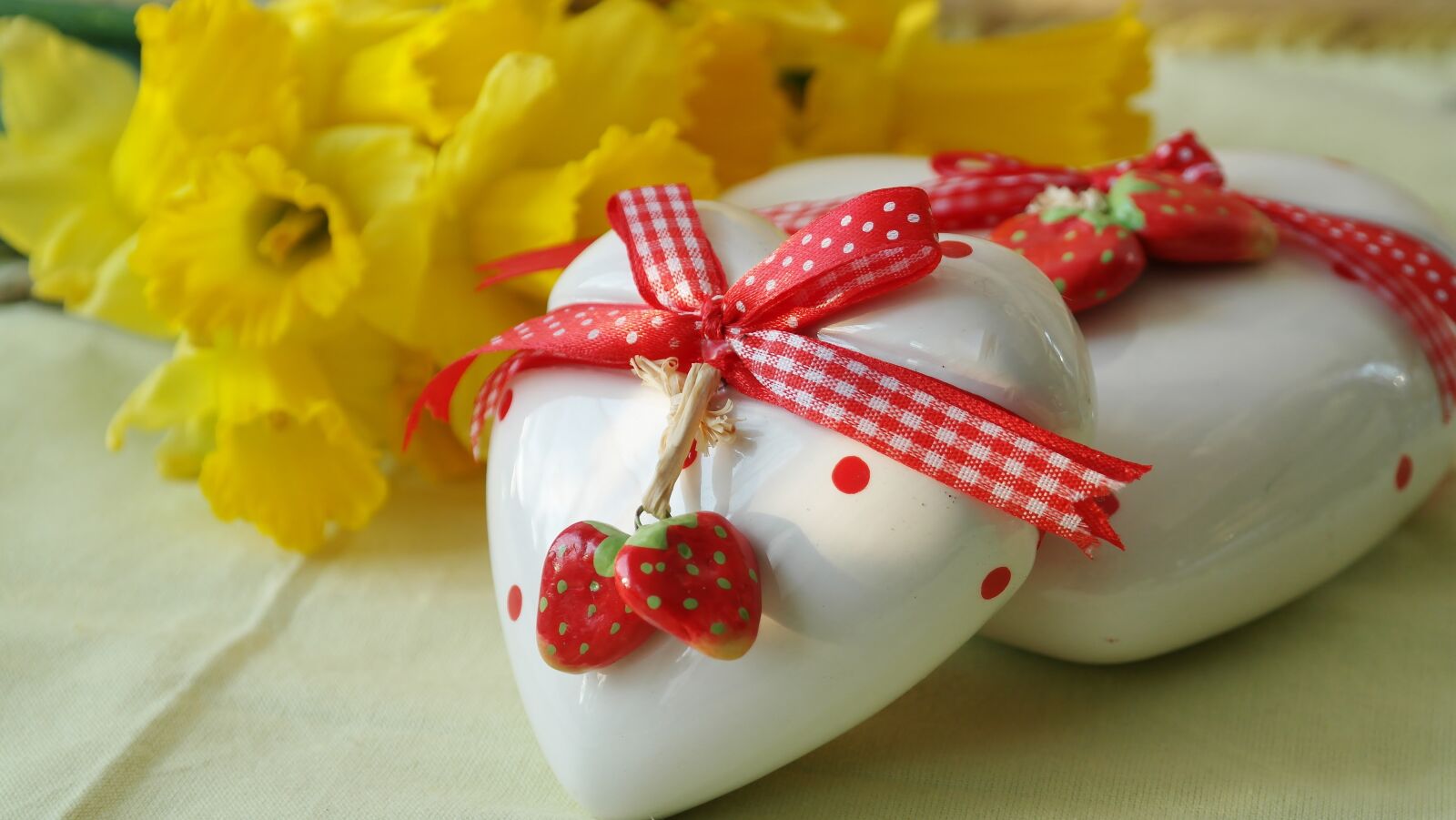 Samsung NX20 sample photo. Heart, love gift, daffodils photography