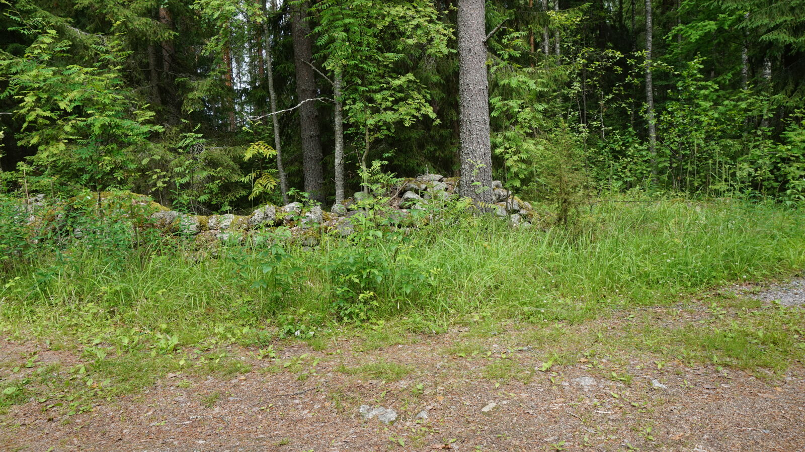 Sony E 16-50mm F3.5-5.6 PZ OSS sample photo. Bushes, countryside, forest, grass photography