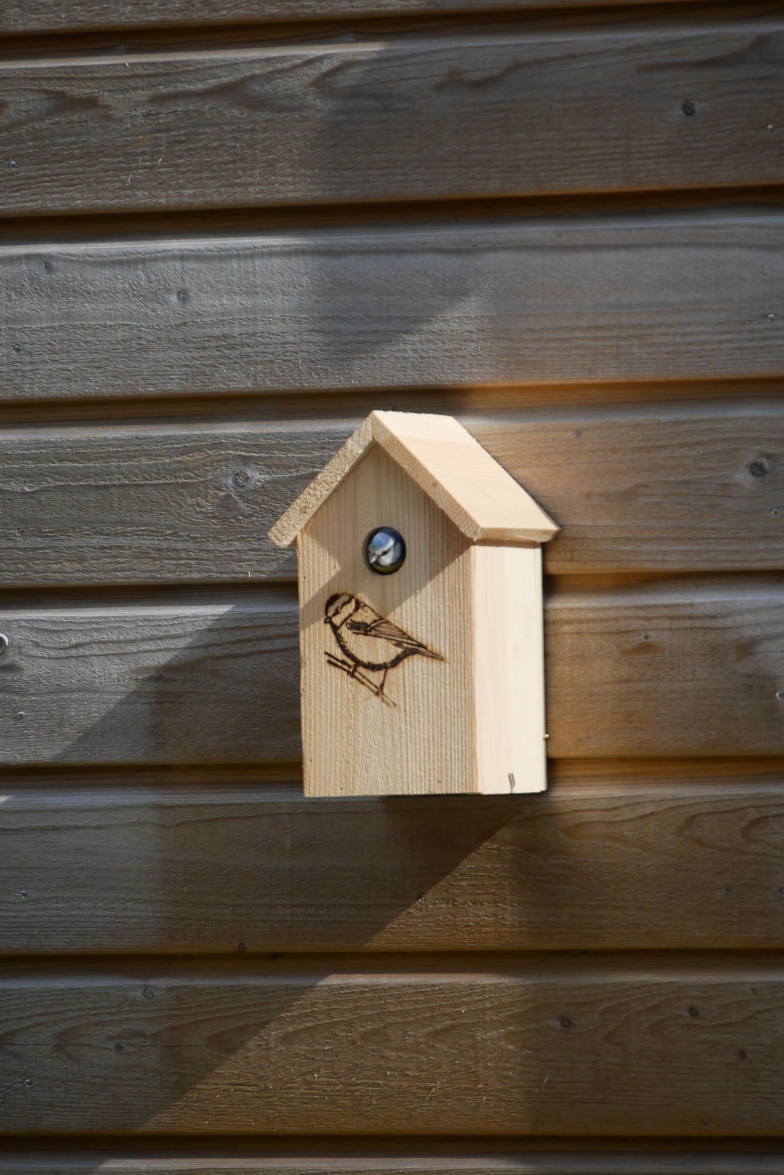 Panasonic Lumix DMC-G85 (Lumix DMC-G80) sample photo. Bird, birdhouse, nature photography