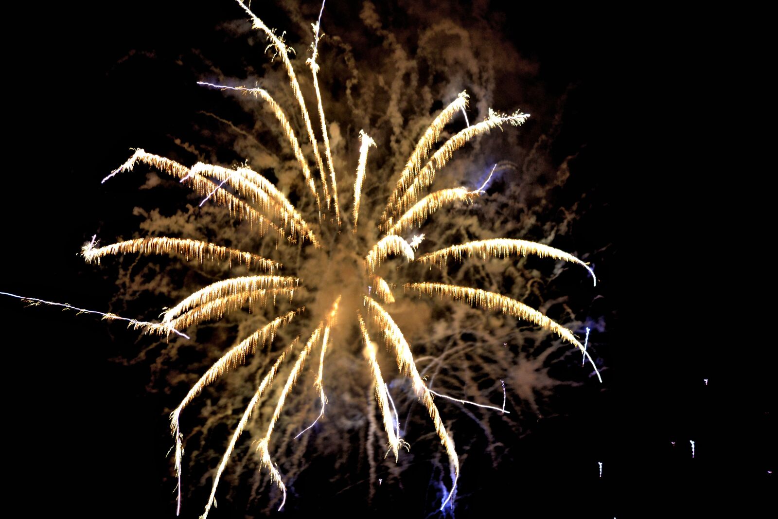 Nikon D5200 sample photo. Fireworks, 4th of july photography