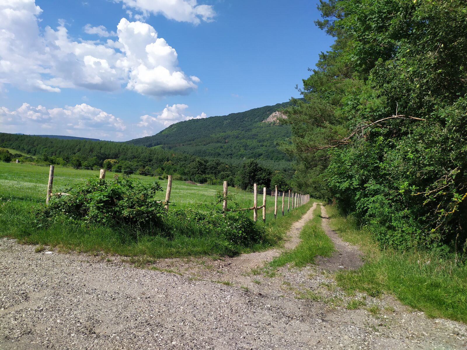 Xiaomi Redmi Note 7 sample photo. Naszály-hill, mountain, nature photography