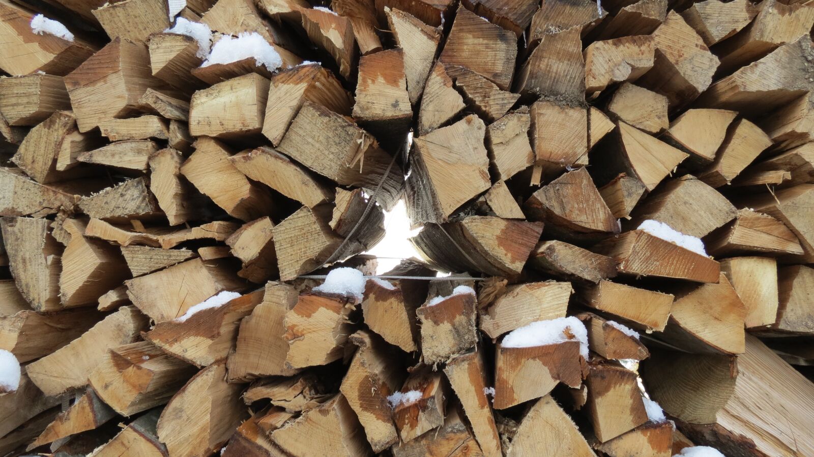 Canon PowerShot SX40 HS sample photo. Wood, log, lumber photography