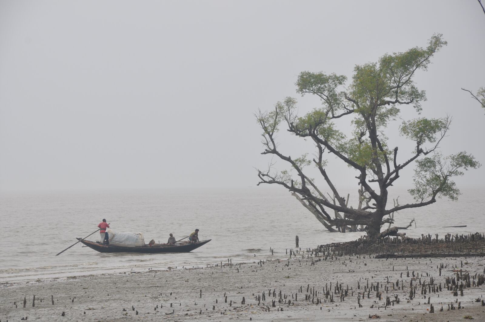 Nikon D90 sample photo. Boat, sea, sundarban photography