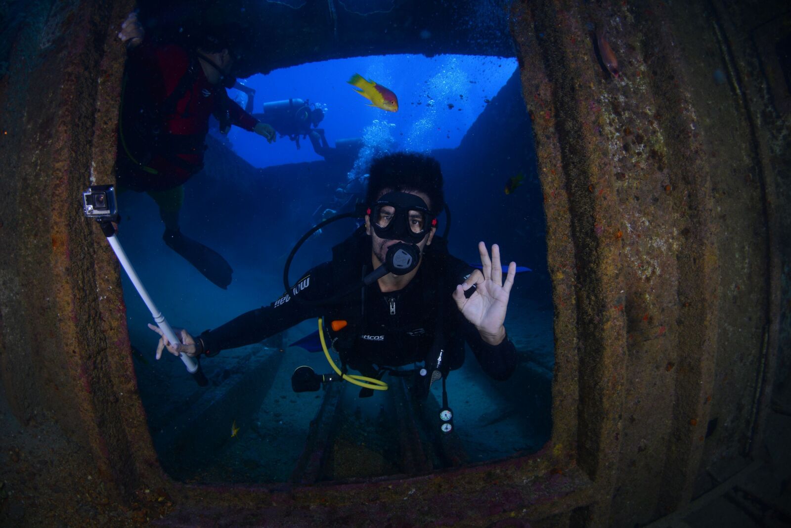 Nikon D800 sample photo. Dive, blue, diving deep photography