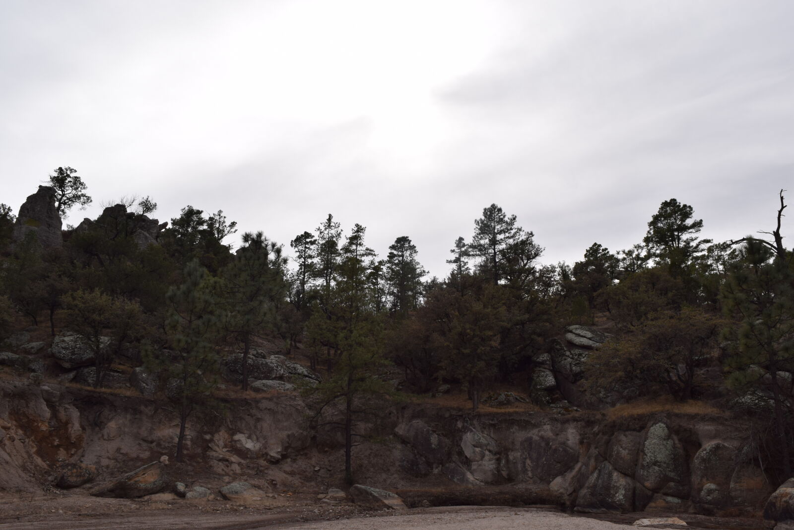 Nikon D3300 sample photo