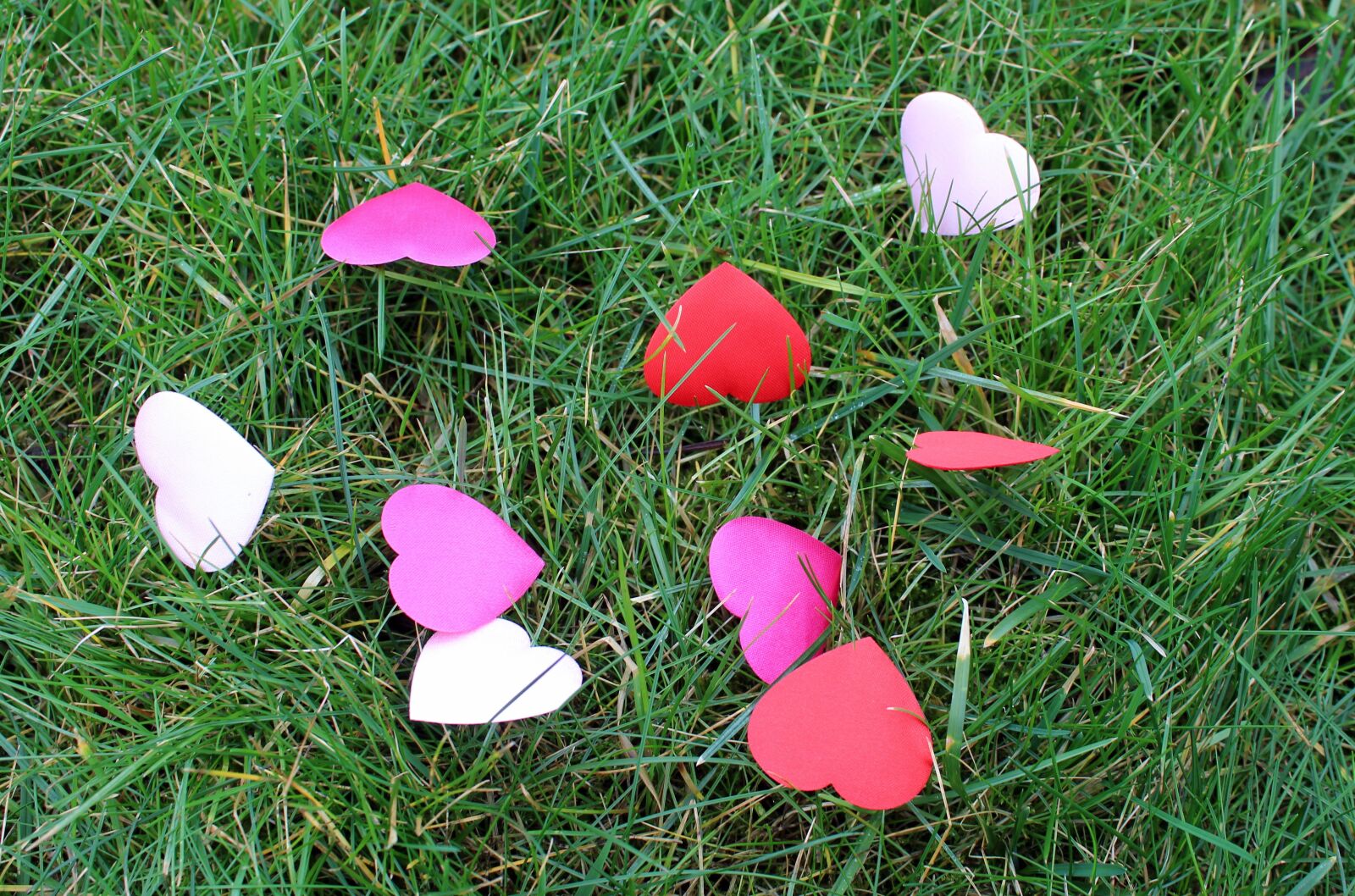 Canon EOS 1200D (EOS Rebel T5 / EOS Kiss X70 / EOS Hi) sample photo. Heart, hearts, lawn photography