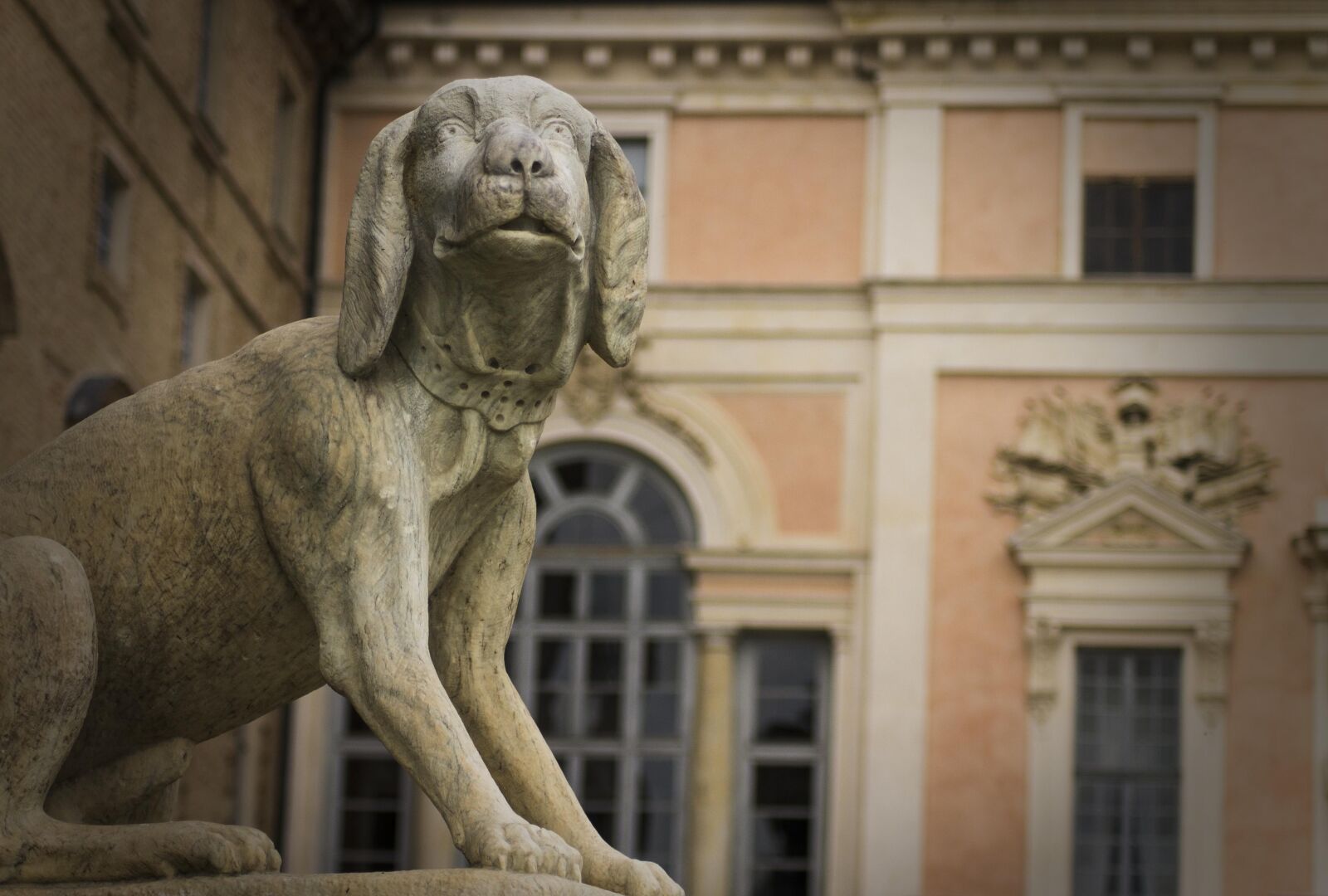 Canon EOS 1100D (EOS Rebel T3 / EOS Kiss X50) sample photo. Govone, dog, statue photography