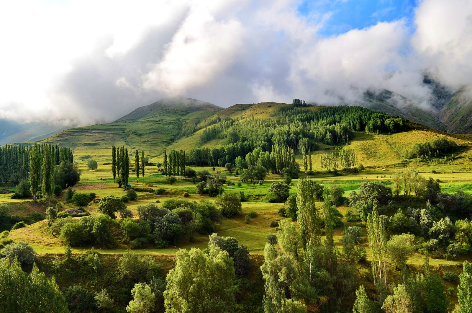 Nikon D5100 sample photo. Nature, landscape, kaçkars photography
