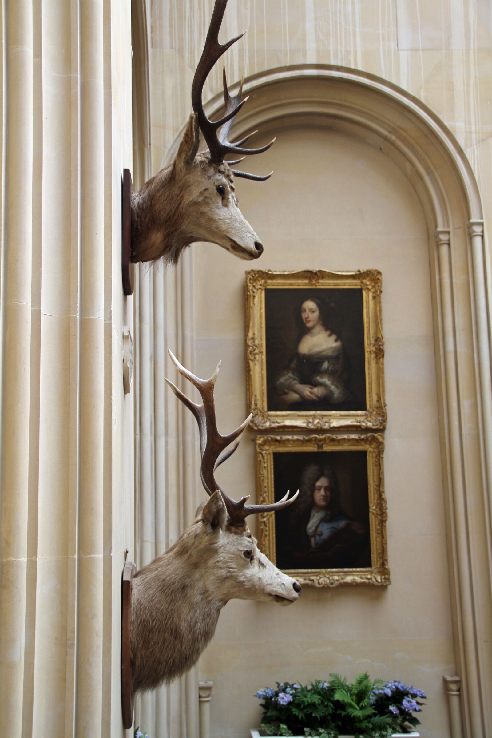 Canon EOS 7D sample photo. Deer, hunting, hunt photography