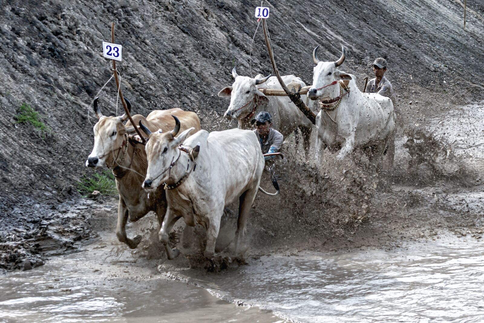 Canon EOS 7D Mark II sample photo. Race, run, vietnam photography