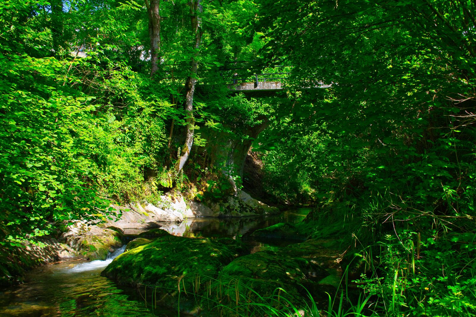 Nikon D7500 sample photo. Bridge over the river photography