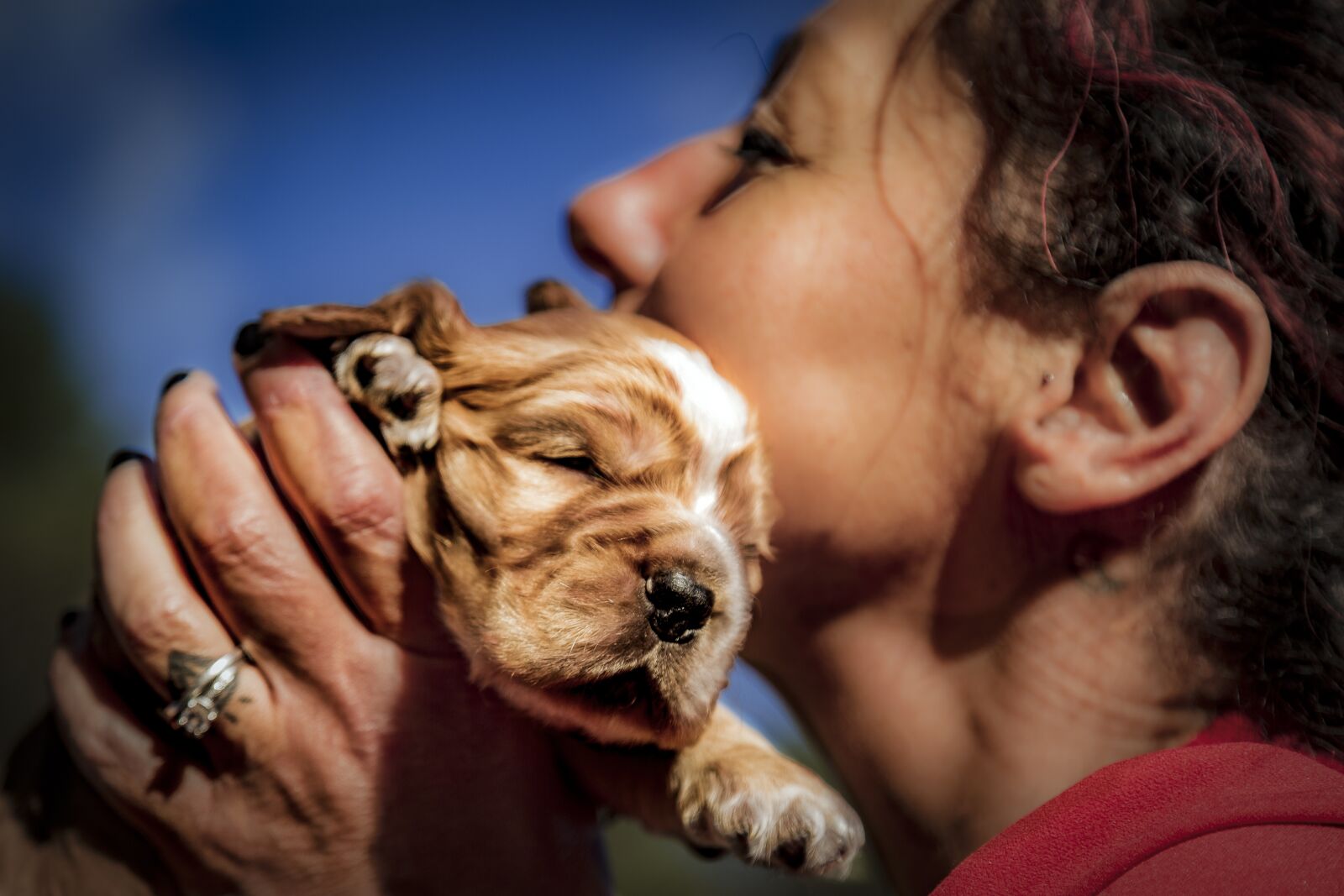 Canon EF 24-105mm F4L IS USM sample photo. Dog, sweet, cute photography