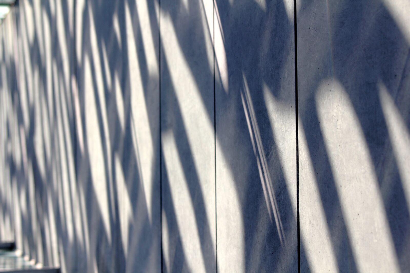 Canon EOS 550D (EOS Rebel T2i / EOS Kiss X4) sample photo. Shadow, light, sun photography
