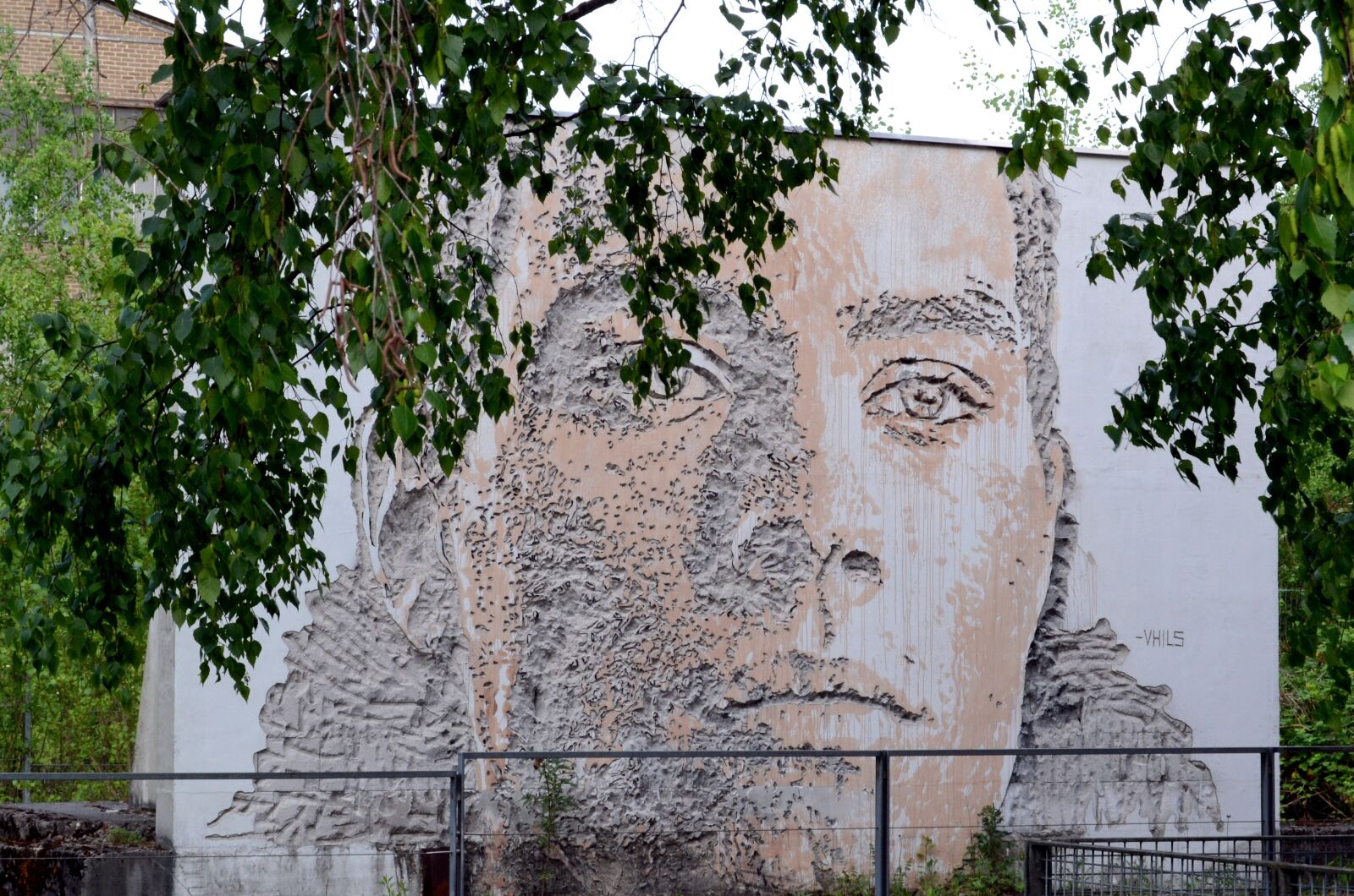 Nikon D3100 sample photo. Murals, art, painting photography