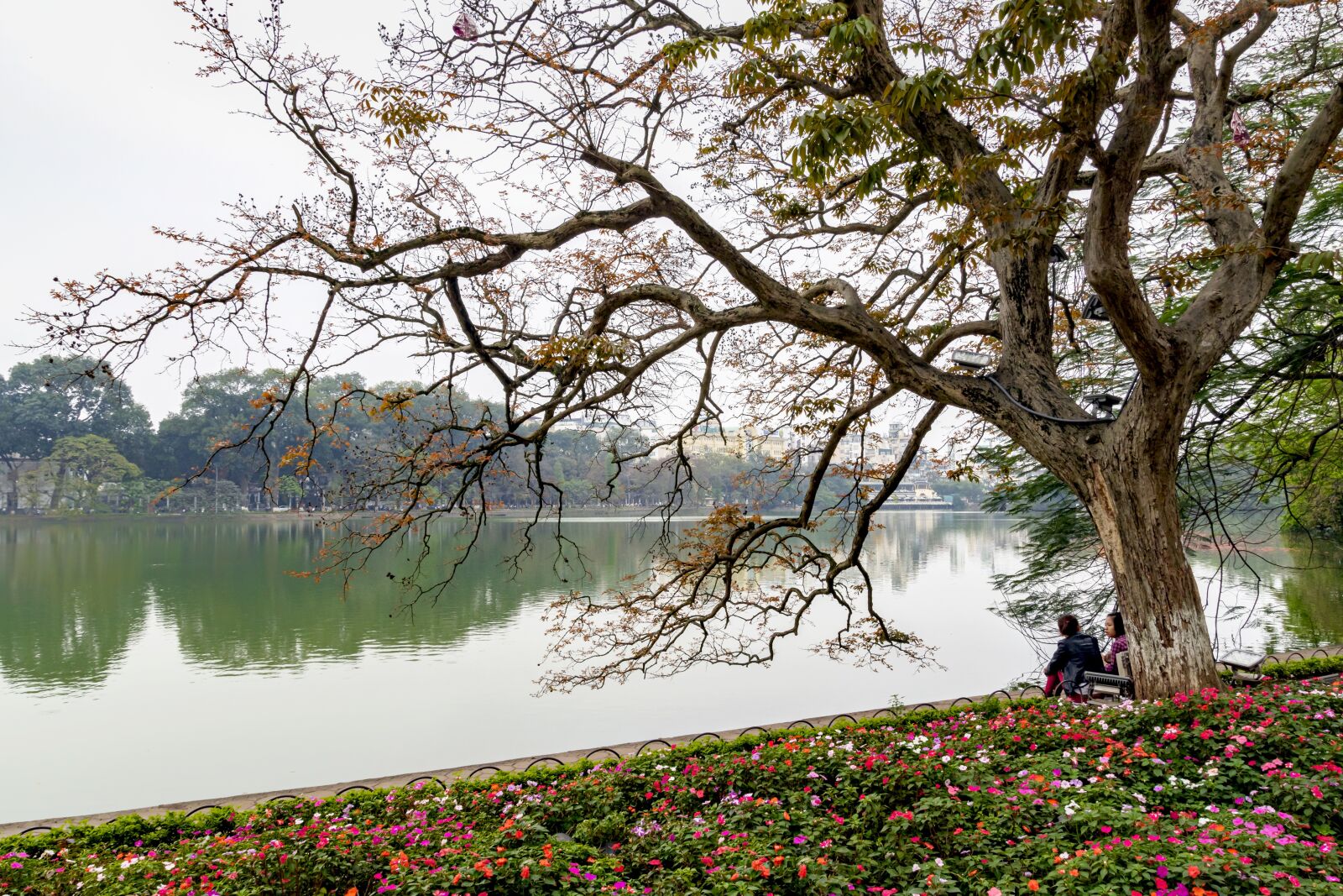 Tamron SP AF 17-50mm F2.8 XR Di II LD Aspherical (IF) sample photo. Lake, ha noi, vietnam photography