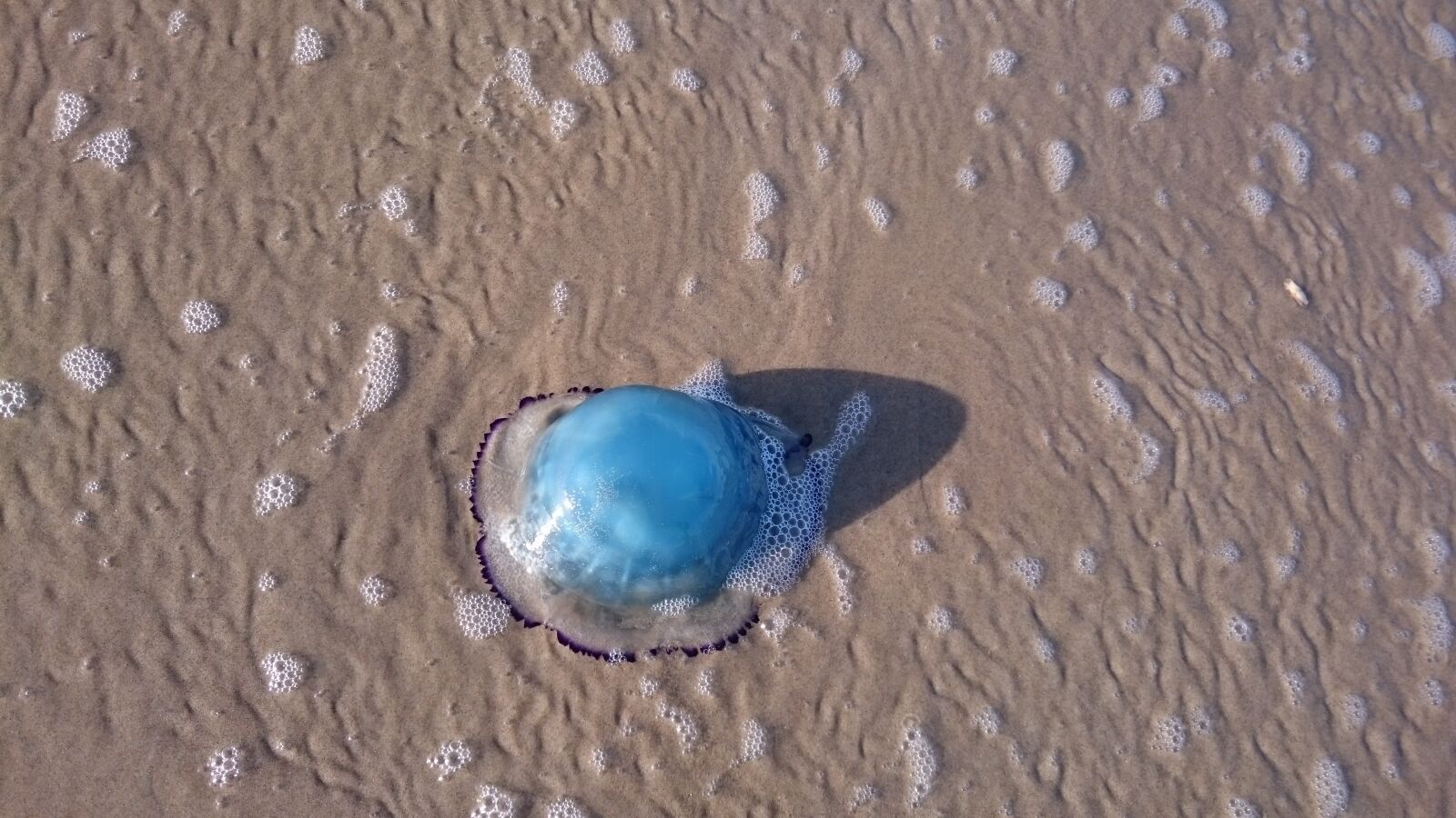 Sony Xperia Z3 sample photo. Sand, beach, coast photography