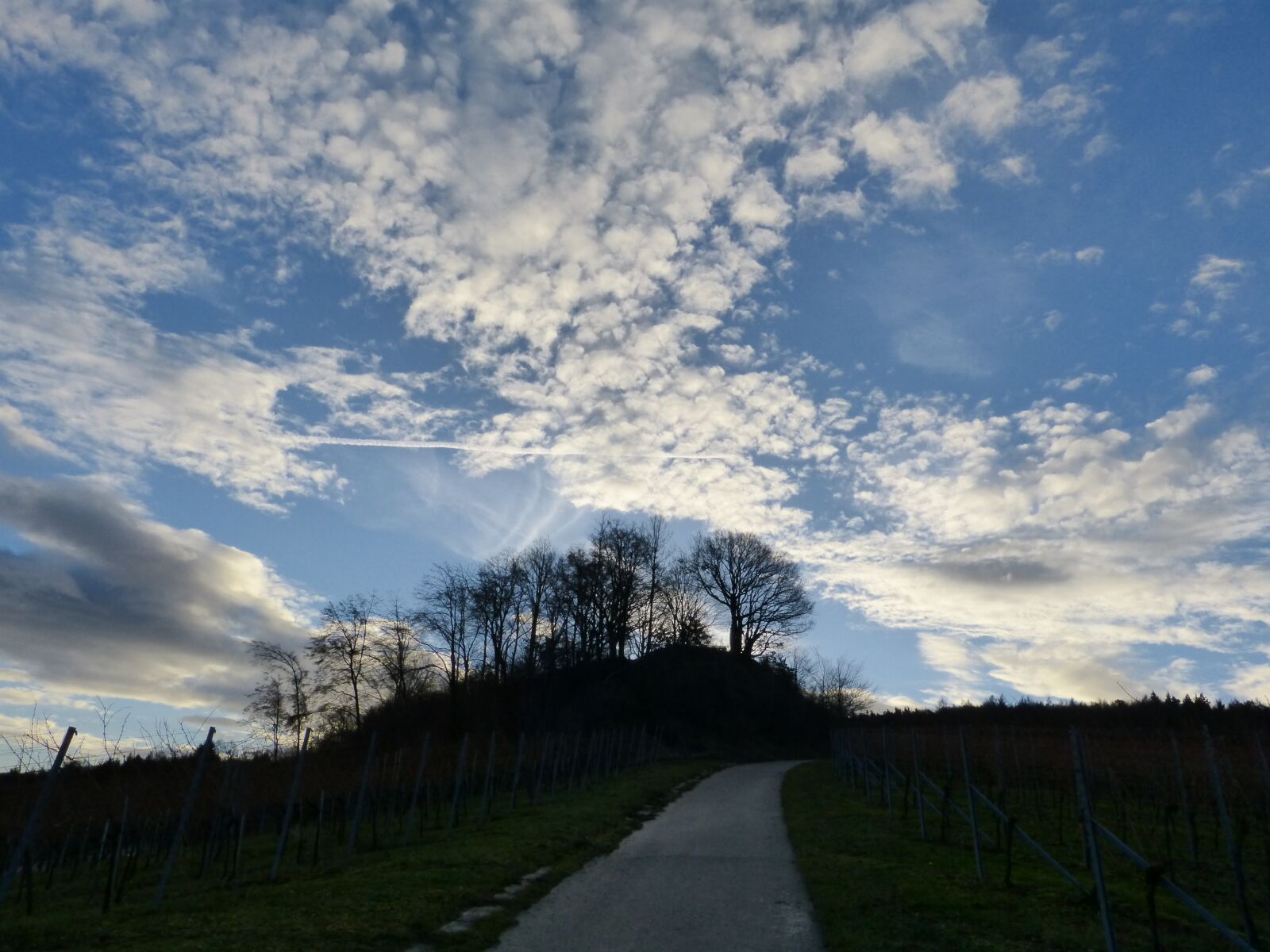 Panasonic DMC-FZ62 sample photo. Clouds, sky, nature photography