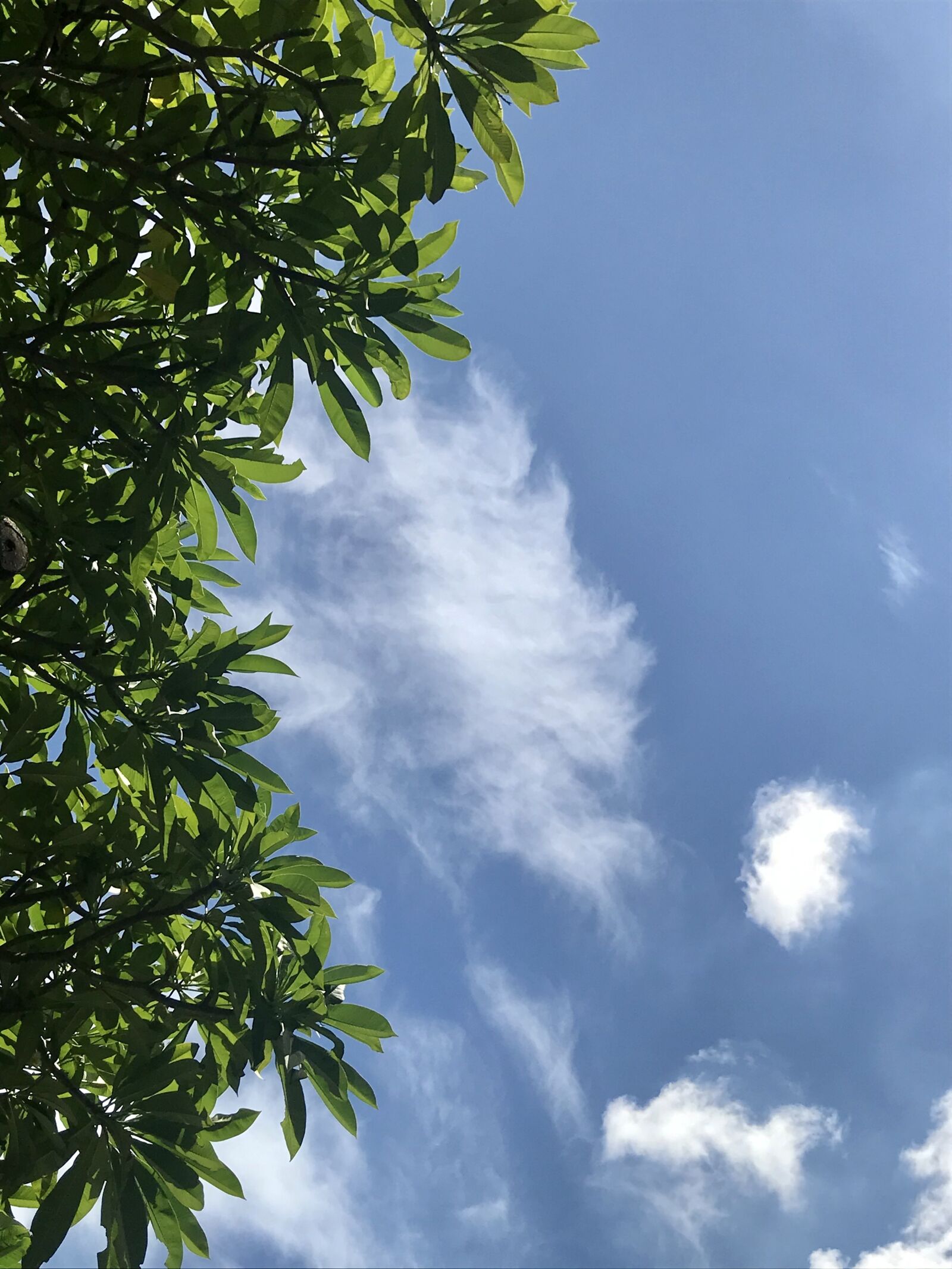 iPhone 7 back camera 3.99mm f/1.8 sample photo. Sky, blue sky, clouds photography