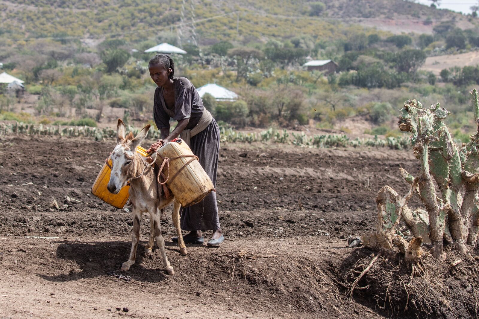 Canon EOS 7D Mark II sample photo. Ethiopia, africa, poverty photography