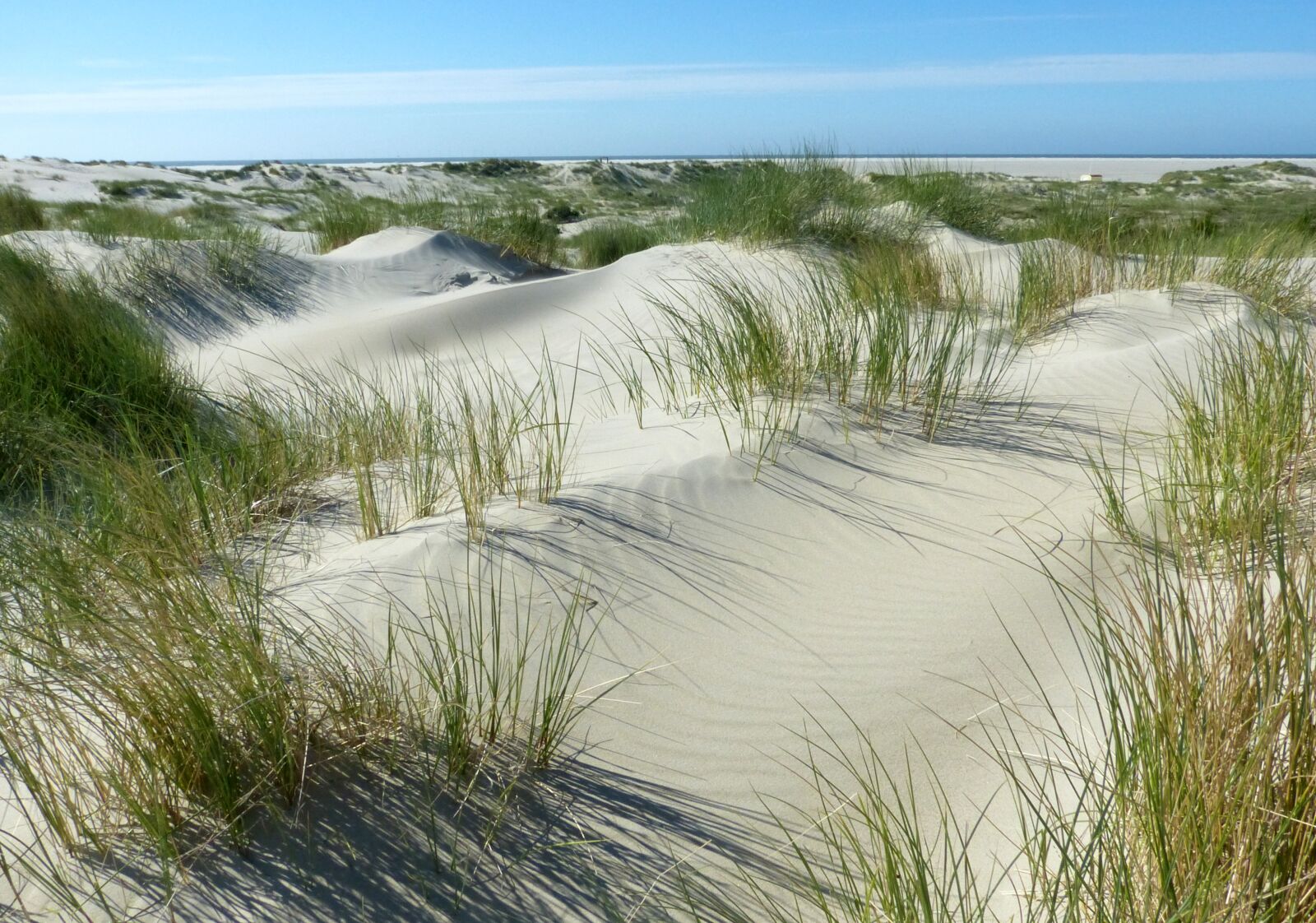 Panasonic Lumix DMC-FZ150 sample photo. Dunes, beach, north sea photography