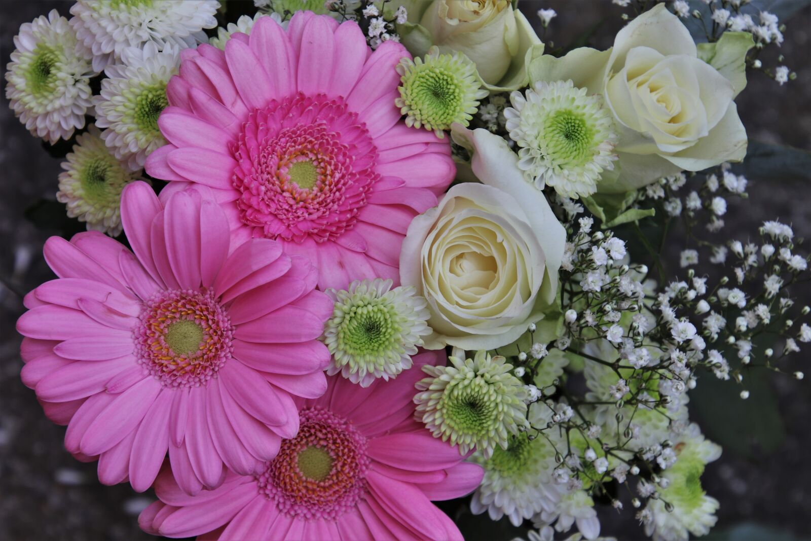 Canon EOS 80D sample photo. Bouquet, romance, roses photography