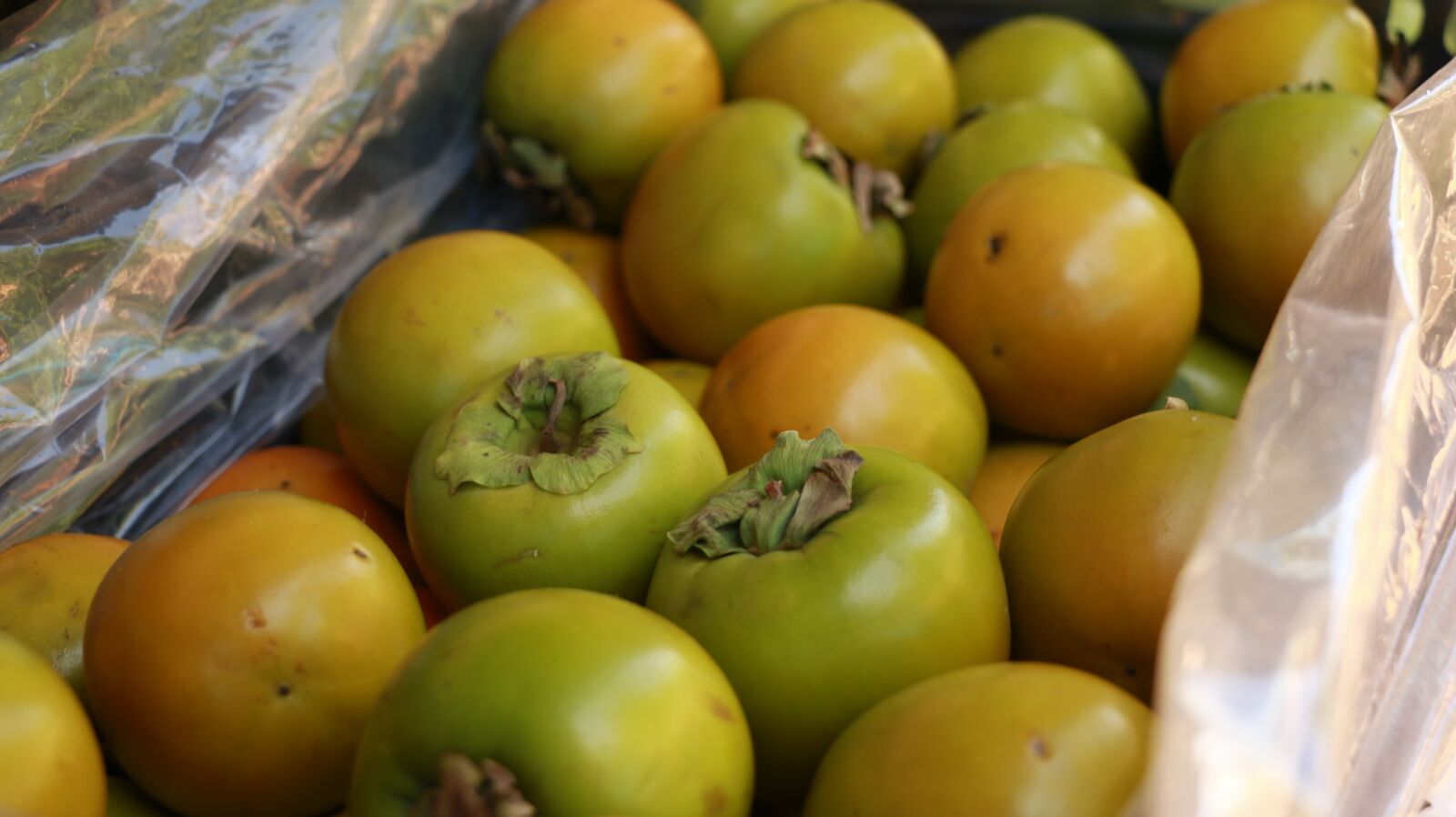 Canon EOS 70D sample photo. Persimmon, fruit, fruits photography