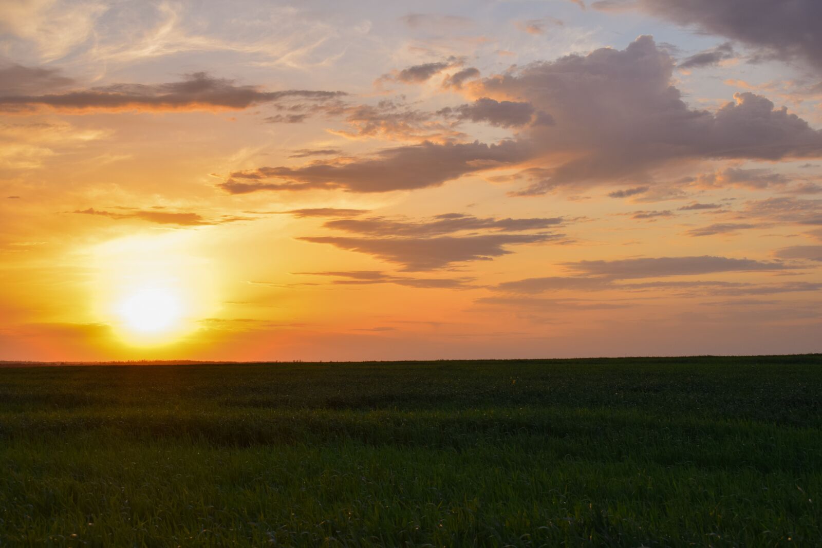 Nikon D3300 sample photo. Sunset, sky, clouds photography
