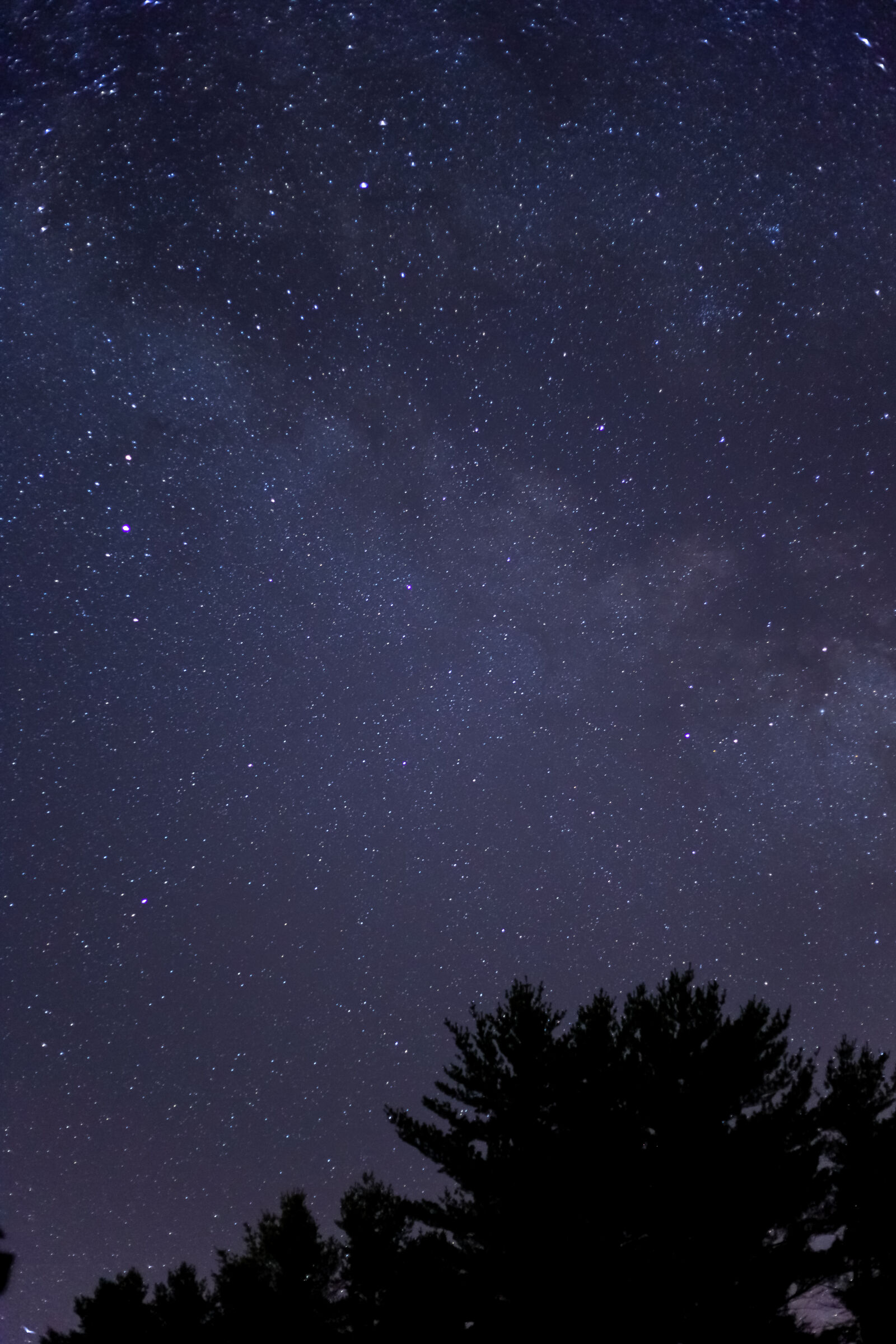 Canon EOS 6D + Canon EF 50mm F1.8 II sample photo. Sky, night, stars, galaxy photography