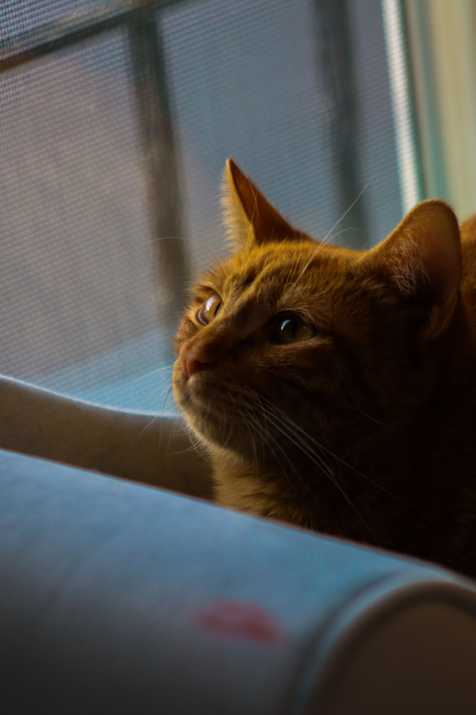 Canon EOS R100 sample photo
